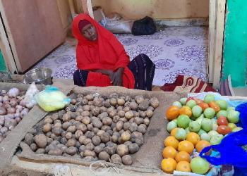 Cadaado: Haween nolosha qoysaskooda ka maarayn jiray iibinta Khudaarta oo shaqo la’an noqday markii ay saameysay fatahaadda webiga shabeelle