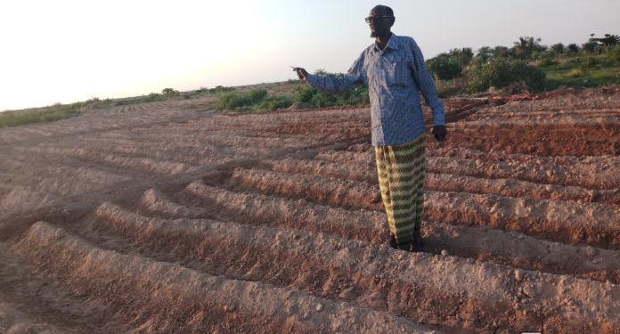 Flood-hit farmers in Bari need help to recover livelihoods