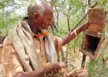 Dhadhaab: Dhaqashada Shinida oo fursad dhaqaale u noqotay qoysas qaxooti ah