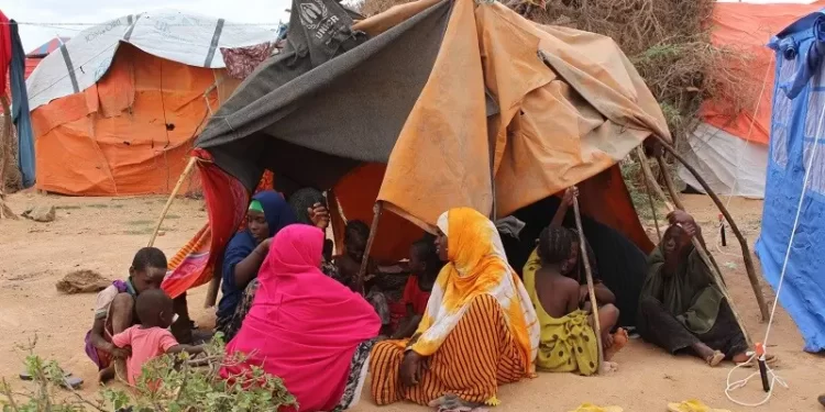 Cabudwaaq: Daad hoy la’aan ka dhigay qoysas ku nool xero lagu barakacay
