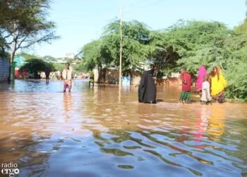 Gedo: Afar boqol iyo siddeedan kun oo qoys oo ay saameeysay fatahaadda oo hoy la’aan iyo cunno yari wajahaya