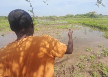 Sudden flooding sets back the hopes of returnee farmers in Marka, Lower Shabelle