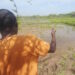 Sudden flooding sets back the hopes of returnee farmers in Marka, Lower Shabelle