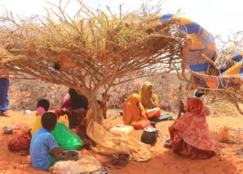 Awdal: Dad ka barakacay colaad iyo abaar oo nolol-xumo ku wajahaya deegaanka Kalawle