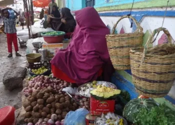 Hargaysa: Boqollaal haween ah oo suuqa iskaga baxay khudaar yari darteed