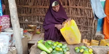 Market traders in Hargeisa put out of business by lack of supplies and high prices