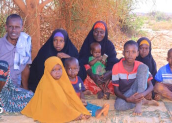 Baidoa IDP families evicted at last minute lose their livelihoods
