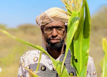 Reer guuraaga gobolka Hawd oo dalag ka goostay beerro ay fasheen markii ay xooluhu ka nacfi beeleen