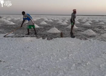Mudug: Xoolo-dhaqato hore oo fursad shaqo abuur ka helay cusbada laga qodo Xinlabi
