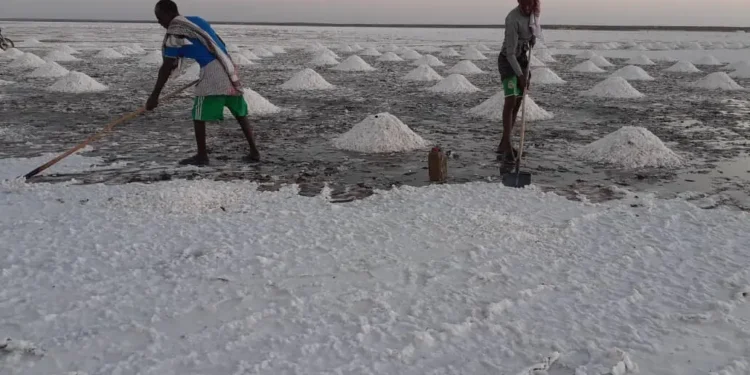 Mudug: Xoolo-dhaqato hore oo fursad shaqo abuur ka helay cusbada laga qodo Xinlabi