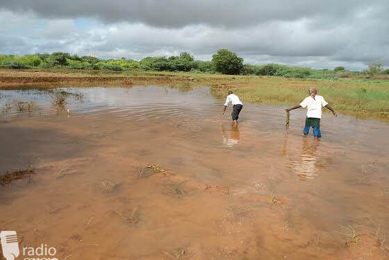 Beeraleyda Mudug oo wajahaya nolol-xumo markii uu daad ka qaaday dalag ay beerteen