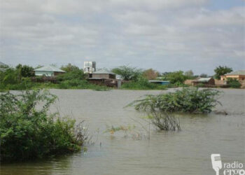 Galgaduud: Nolol-xumo ka dhalatay daad barakiciyay qoysaskii ku noolaa tuulada Docolley