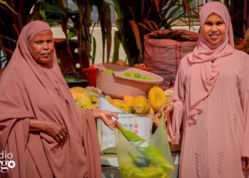 Nugal farmers deliver their fresh produce to new customers