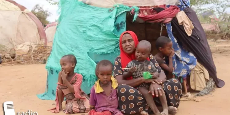 Mudug: Bacaad dhibaato ku haya qoysas ka barakacay colaad qabiil