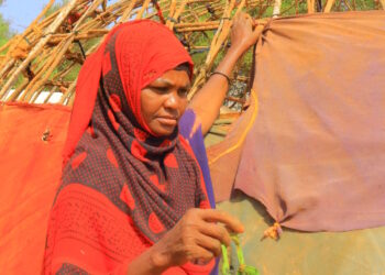 Farmers in Bay region hit by drought fall into poverty in Baidoa IDP camps
