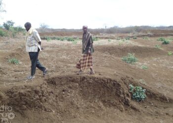 Sanaag: Cururro iyo biyo yari isbiirsaday oo dalag la’aan dhigay qoysas beeraley ah
