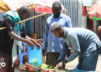 Small businesses change the lives of IDPs in Baidoa