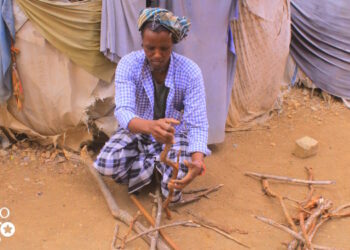 Drought in Bay villages forces farming families to move to Baidoa
