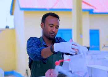 New fish market facility in Erigabo boosts Sanag fishermen’s livelihoods