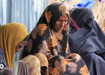 Colaadda ka jirta Bari oo saameysay dad ku tiirsanaa xabagta laga guro geedaha xijiga