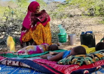 Awdal: Qoysas wajahaya cunno xumo iyo hoy la’aan markii badda Saylac ay ku fatahday