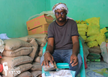 Mudug pastoralists reap cash benefits from indigenous Yeheb nuts