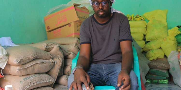 Mudug pastoralists reap cash benefits from indigenous Yeheb nuts