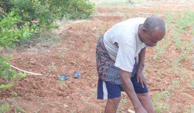 Dalagyo ka qasaaray beeralayda Mudug markii ay biyo la’aan wajaheen