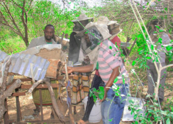 Mudug: Rag ku xoolo-beelay abaarta oo fursad shaqo ka helay warshad xanaanaysa Shinida
