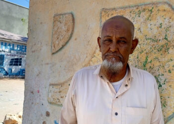 Despair tightens grip on villagers in Togdher region as their livestock fall prey to drought