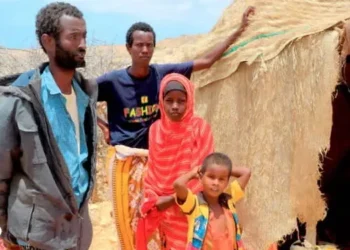 Qoysas colaad iyo roob la’aan ku wajahaya qaybo ka mid ah Galgaduud