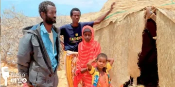 Qoysas colaad iyo roob la’aan ku wajahaya qaybo ka mid ah Galgaduud