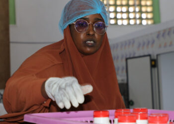 Jobs at Mogadishu dairy firm restore a living to people ruined by drought and conflict