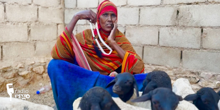 Long drought forces hundreds of pastoralist families to flee to Garowe