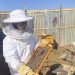 Women in Baidoa set up thriving beekeeping business now supporting their families