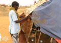 New Somali refugees in Dadaab camps find no services, no aid