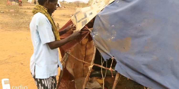 New Somali refugees in Dadaab camps find no services, no aid