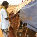 New Somali refugees in Dadaab camps find no services, no aid