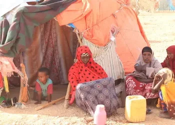 Qoysas nolol xumo ku wajahaya Baydhabo markii laga gubay beero iyo kayd raashin