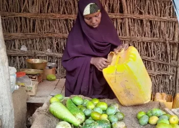 Haweenka khudaarta ku iibiya Kismaayo oo wajahaya suuq xumo cuno yari biday