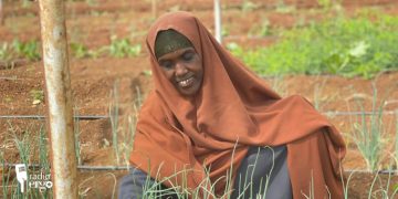 Baidoa farmers reap benefits of climate knowledge and irrigation