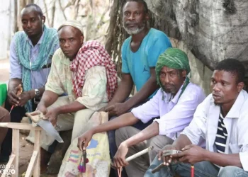 Mudug: Rag wadaaga fursadaha shaqo ee laga heli karo oo nolosha qoysaskooda ku filnaaday