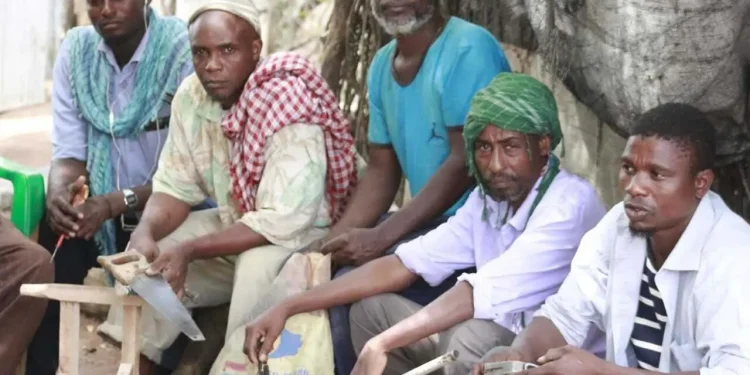 Mudug: Rag wadaaga fursadaha shaqo ee laga heli karo oo nolosha qoysaskooda ku filnaaday