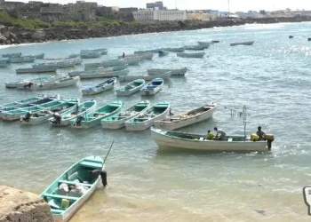 Qoysas ku cayroobay abaar ka dhacday Bari oo noqday kalluumeysto maareeyay noloshooda