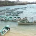 Qoysas ku cayroobay abaar ka dhacday Bari oo noqday kalluumeysto maareeyay noloshooda
