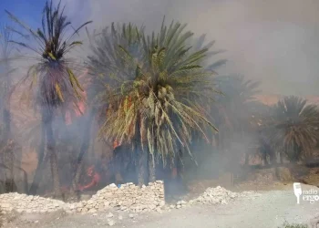 Beeraley ku nool Galgaduud oo wajahaya nolol xumo markii gubay beero ay ku tiirsanaayeen