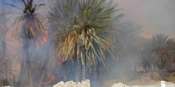 Beeraley ku nool Galgaduud oo wajahaya nolol xumo markii gubay beero ay ku tiirsanaayeen