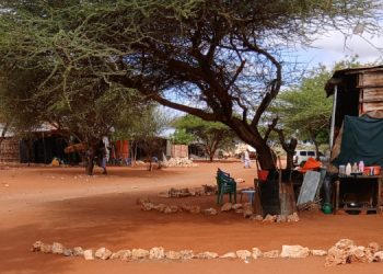 Pastoralists’ migration leaves village economy shattered in Somali Region