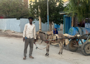 Hargeisa piped water expansion puts humble donkey cart vendors out of work