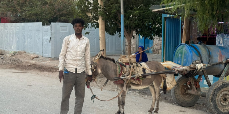 Hargeisa piped water expansion puts humble donkey cart vendors out of work